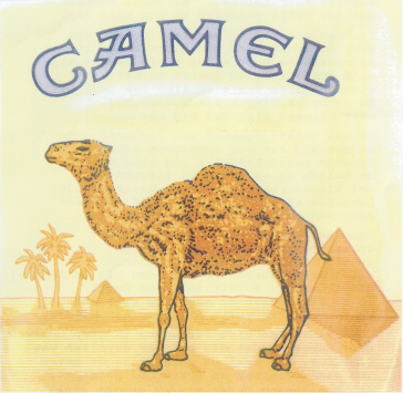 Camel1_2